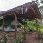 Tenting Camps - Safari 4WD