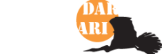 African Darter Safari