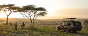 Privat 4 WD safari Serengeti