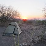 Camping African Darter Safari Sunset