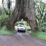 Arusha National Park 4WD Safari